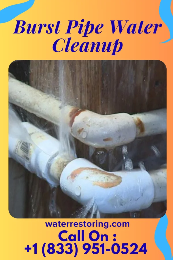 Burst Pipe Water Cleanup in Evansdale, IA